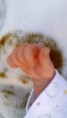/album/bildgalleri/a15515649-735946059893043-1795387205-o-jpg/